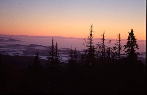 Kirchdorf im Wald Appartement | Appartement de vacances Kirchdorf pour 2 personnes avec 1 chambre à coucher - Appartement de vacance