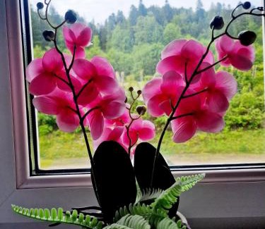 Triberg im Schwarzwald Appartement | Holiday Apartment near Triberg Waterfall