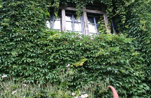 Retschow Appartement | Appartement de vacances Retschow pour 1 - 4 personnes avec 2 chambres à coucher - Maison jumelée
