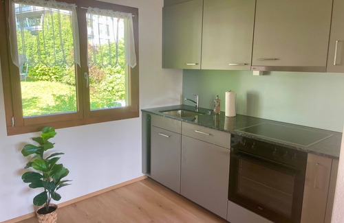 Vitznau Chalet De Ski | Holiday apartment Vitznau for 1 - 2 persons with 1 bedroom - Holiday apartment in one or multi-famil
