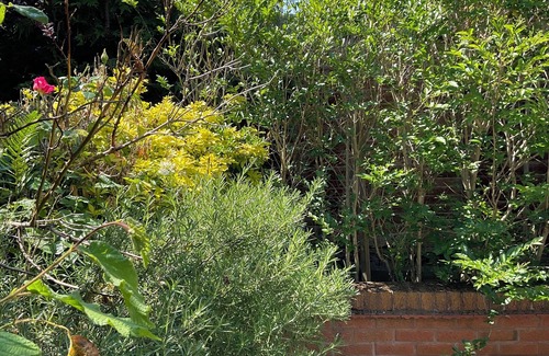 Wilmcote Cottage | Maison de vacances près de Stratford-Upon-Avon