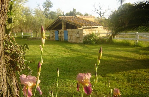 Arles Cottage | Gites au mas de la vigne en camargue