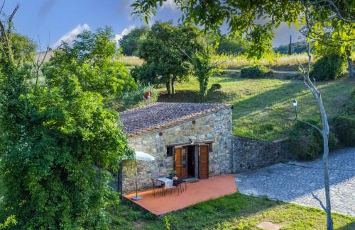 Castellina in Chianti Maison | Holiday Home Cerretino - Tettoia by Interhome