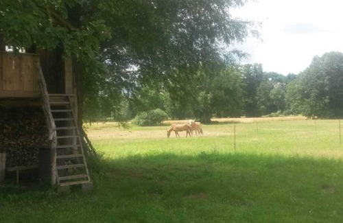 Ragow Maison | Holiday home "Unterm Apfelbaum" / boat tour / bike tours, everything is possible / 140 € per night