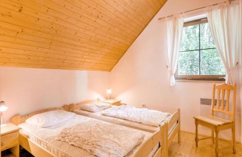 Rudnik u Vrchlabi Maison | Holiday Home in Javorník near Krkonose Park