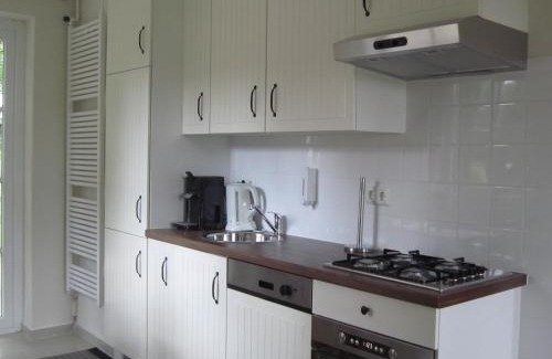 Spijk Maison | Holiday Home in Spijk with Meadow Views, cleaning included