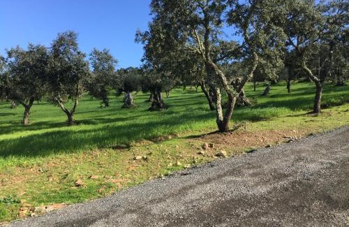 Arraiolos Maison | Holiday home Monte das Azinheiras