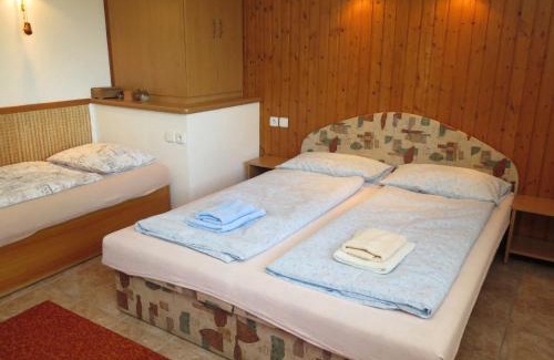 Dolni Bojanovice Maison | Holiday Home Vinarska by Interhome