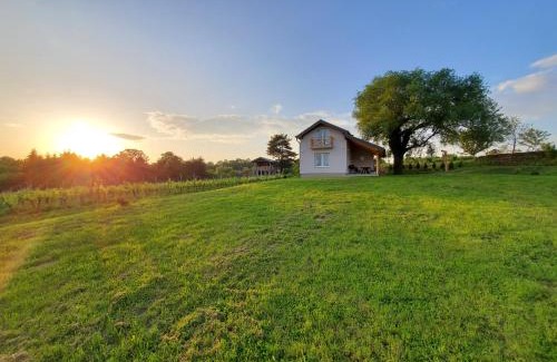 Kutjevo Maison | Holiday home Vinovilla