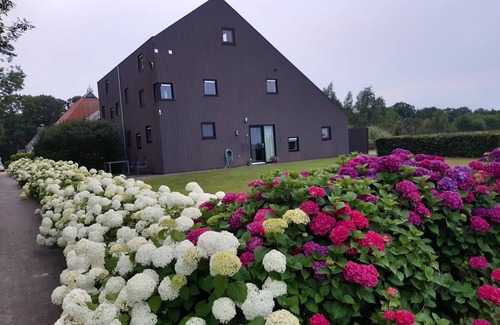 Langweer Maison | maison de vacances avec terrasse privée