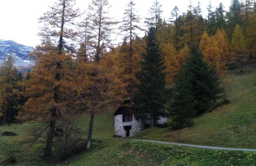 Bosco Gurin Maison | Maison de vacances Bosco Gurin pour 1 - 4 personnes avec 1 chambre à coucher - Maison de vacances