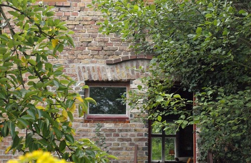 Vierlinden Maison | Maison de vacances pour 6 personnes avec 100m² à Vierlinden (125236)