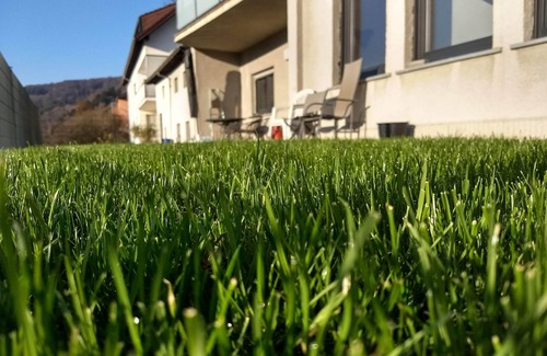 Bollendorf-Pont Maison | Maison de vacances pour jusqu'à 10 personnes dans la station climatique de Bollendorf