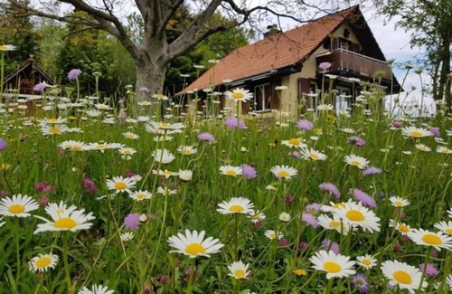 Heiden Maison | Holiday house Heiden for 4 - 6 persons with 2 bedrooms - Holiday house