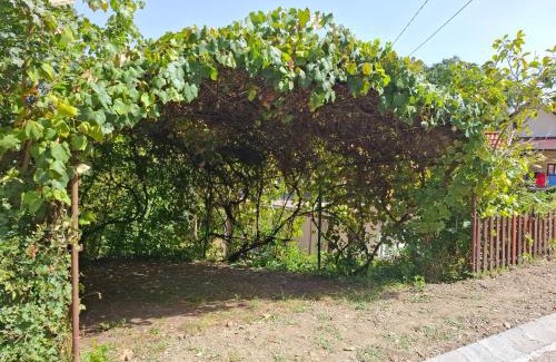 Magyarhertelend Maison | Holiday House Hertelend