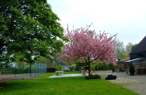 Stavenisse Maison | Holiday house Stavenisse for 1 - 4 persons with 2 bedrooms - Row house