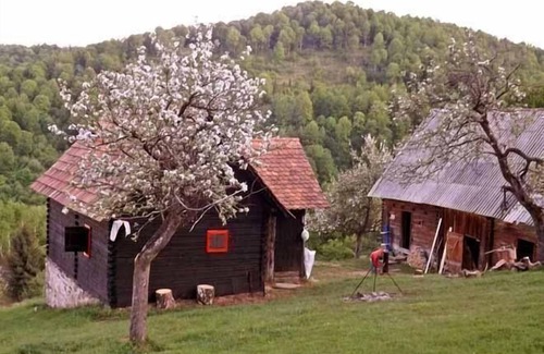 Saliste Maison | Maison de vacances Vale pour 1 - 4 personnes - Maison de vacances
