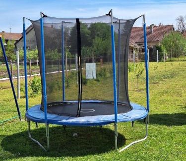 Borovo Maison | Holiday house with a parking space Vukovar, Slavonija - 22809