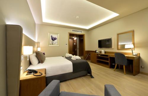 Osmangazi Hôtel | Holiday Inn Bursa - City Centre by IHG