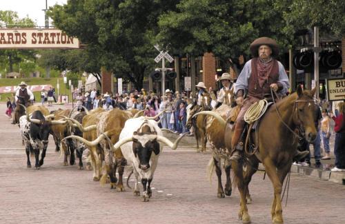 Fort Worth Hôtel | Holiday Inn Express Fort Worth West by IHG