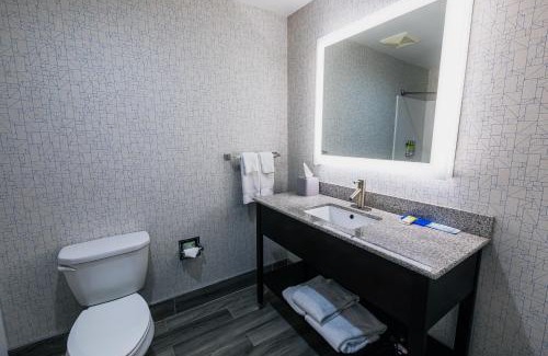 Hamburg Hôtel | Holiday Inn Express Hotel & Suites Hamburg by IHG