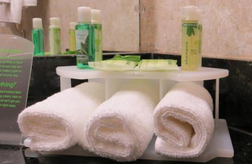 Ottawa Division Hôtel | Holiday Inn Express Hotel & Suites Ottawa Airport by IHG