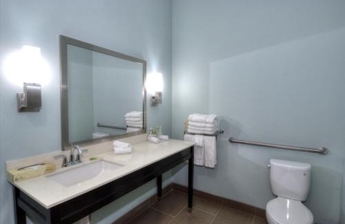 Sweetbriar Hôtel | Holiday Inn Express & Suites Austin South by IHG