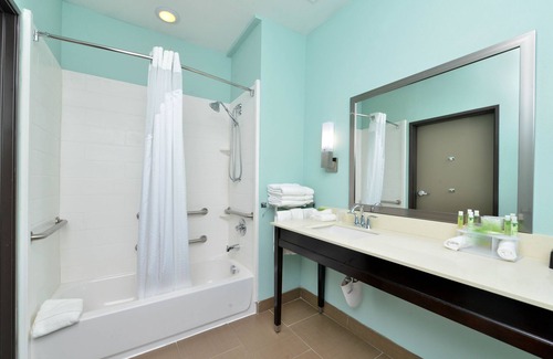 Sweetbriar Hôtel | Holiday Inn Express & Suites Austin South by IHG