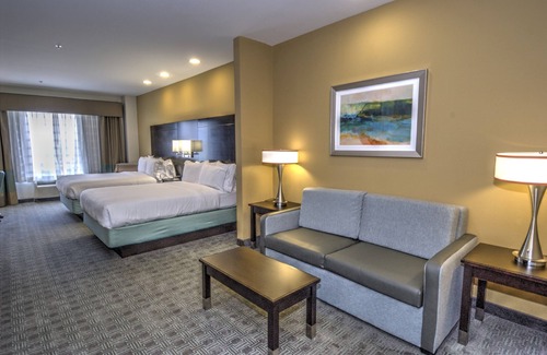 Sweetbriar Hôtel | Holiday Inn Express & Suites Austin South by IHG