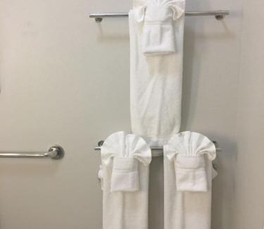 Brenham Hôtel | Holiday Inn Express & Suites - Brenham South by IHG