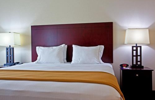Hillside Hôtel | Holiday Inn Express & Suites Chicago West-O'Hare Arpt Area by IHG