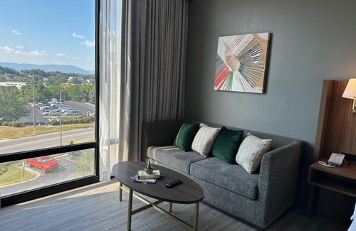 Cave Spring Hôtel | Holiday Inn Roanoke-Tanglewood-Rt 419&i581 by IHG