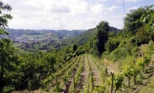 Urbino Maison | Holidays Catassino