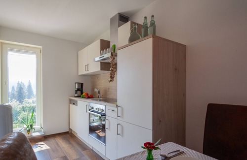 Ludwigsthal Maison | Vacances pour toute la famille au Centre national Parc Falkenstein Forêt de Bavière.