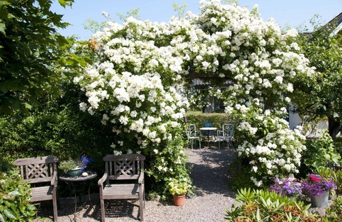 Lerberget Maison | Holidays in an old fishing village 75 meters from the west coast beach
