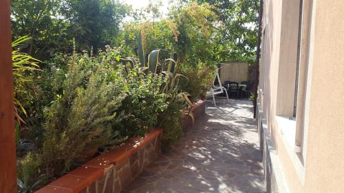 Castelnuovo Cilento Appartement | Holidays in Cilento