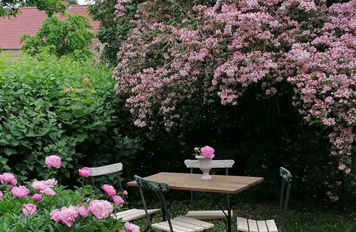 Temnitzquell Appartement | Dans l'ancien presbytère