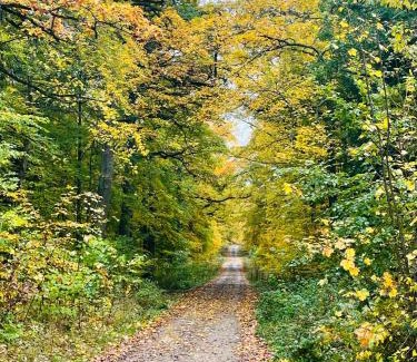 Harzgerode Appartement | Holla die Waldfee