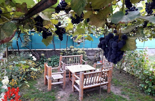 Akhali Ubani Appartement | holliday home borjomi
