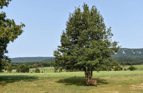 Luray Maison | Holly Tree Retreat Located In Beautiful Luray, VA.