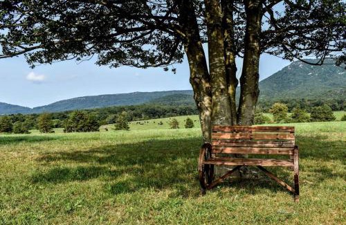 Luray Maison | Holly Tree Retreat Located In Beautiful Luray, VA.