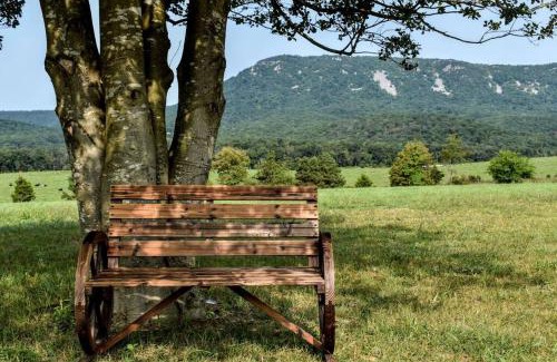 Luray Maison | Holly Tree Retreat Located In Beautiful Luray, VA.