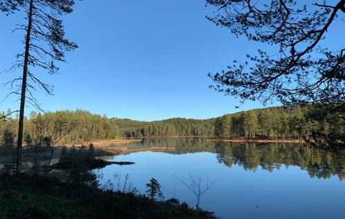 Asnes Municipality Autre | Holmsjøhytta