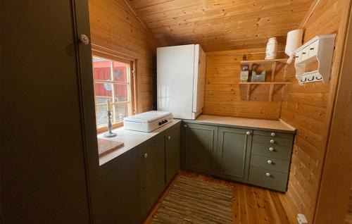 Asnes Municipality Autre | Holmsjøhytta