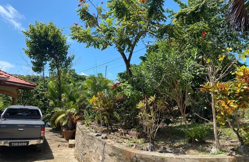 Toco Maison | Home away from home with quiet and relaxing atmosphere