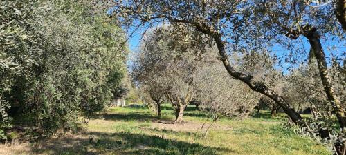Saint-Etienne-du-Gres Maison | Home Charmant des Alpilles