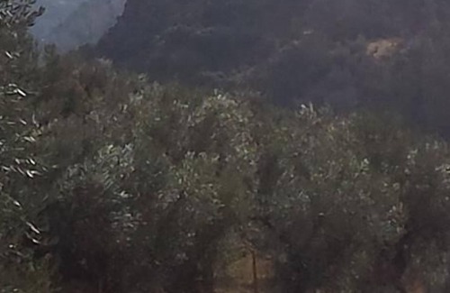 Guejar Sierra Maison | ères à domicile (la ferme) ensoleillée avec cheminée centre-ville