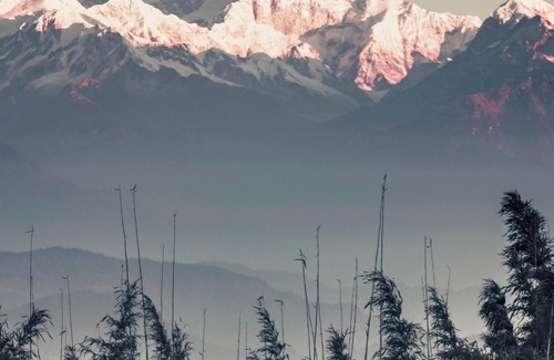 Darjeeling Maison | Home in the lap of nature In a peaceful location..... Darjeeling