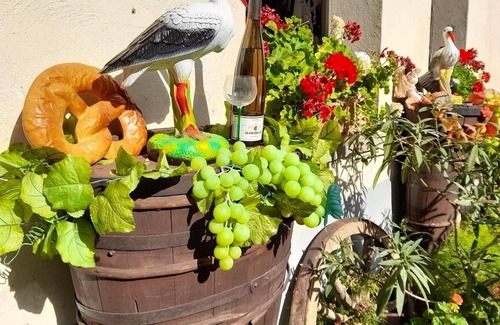 Ingersheim Maison | Homerez - Amazing house for 4 ppl. with garden and terrace at Ingersheim