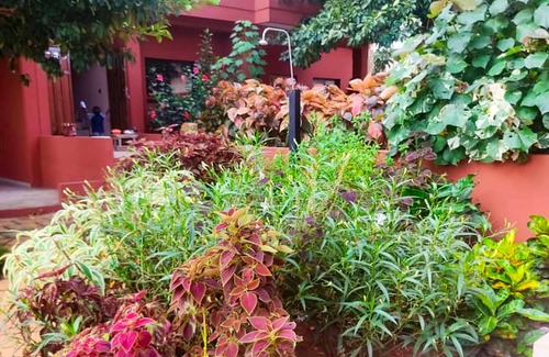 Porto-Novo Appartement | Homerez - Appartement for 4 ppl. with shared pool and garden at Porto-Novo